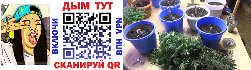 Купить наркоту Углич Псилоцибиновые грибы  Конопля  Меф  мега рабочий сайт  Кокаин  СОЛЬ  ГАШИШ 